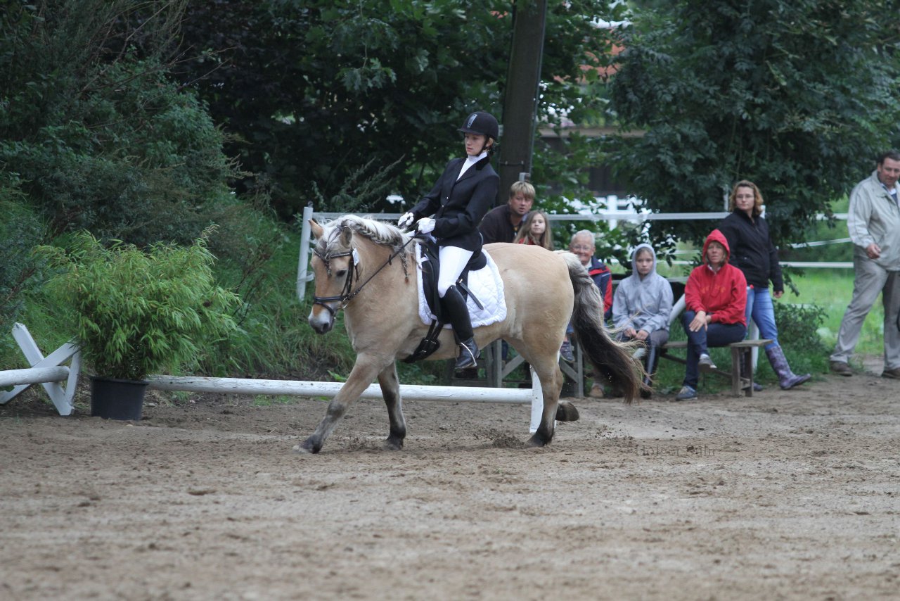 Bild 442 - WBO-Turnier am 18.9.11